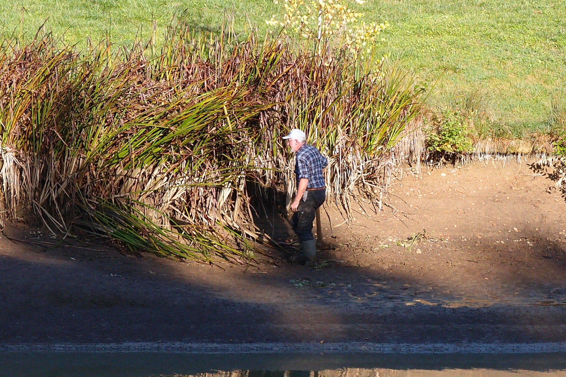 Galeriebild: PA183094